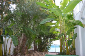 IL Kent Ischia